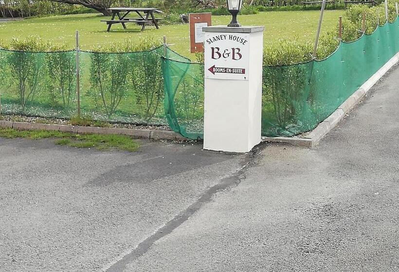 Slaney House Bed And Breakfast