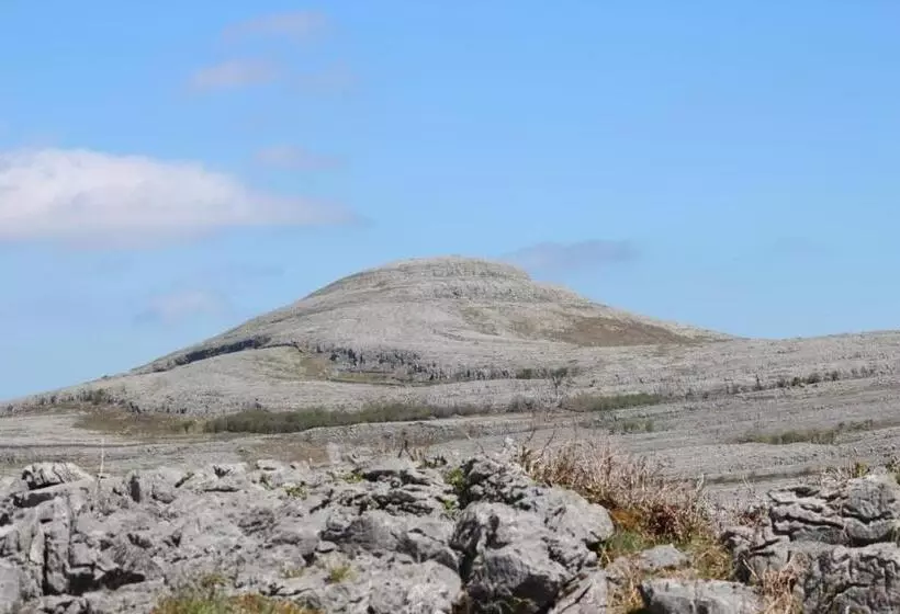 Slaney House Bed And Breakfast