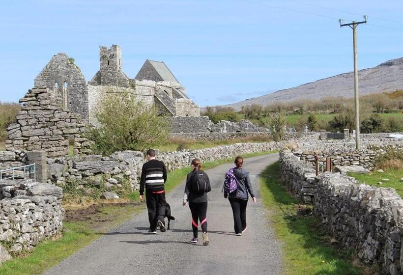 Slaney House Bed And Breakfast