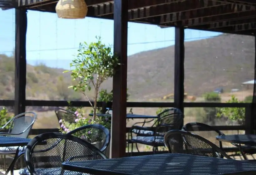 Viñas Del Castillo Hotel Boutique