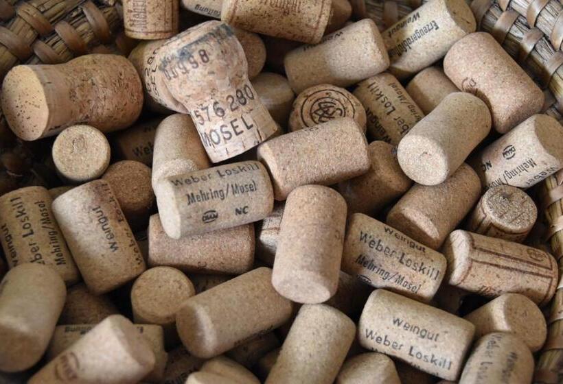 הוסטל Gästehaus Weber Loskill