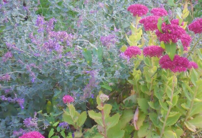 ベッドアンドブレックファースト Logis Du Patis Roux