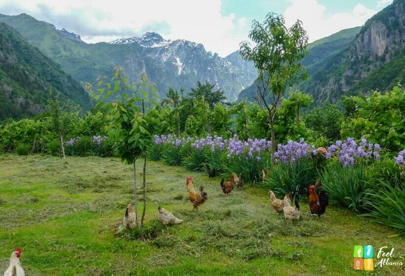 צימר Villa Gjeçaj Guesthouse And Restaurant