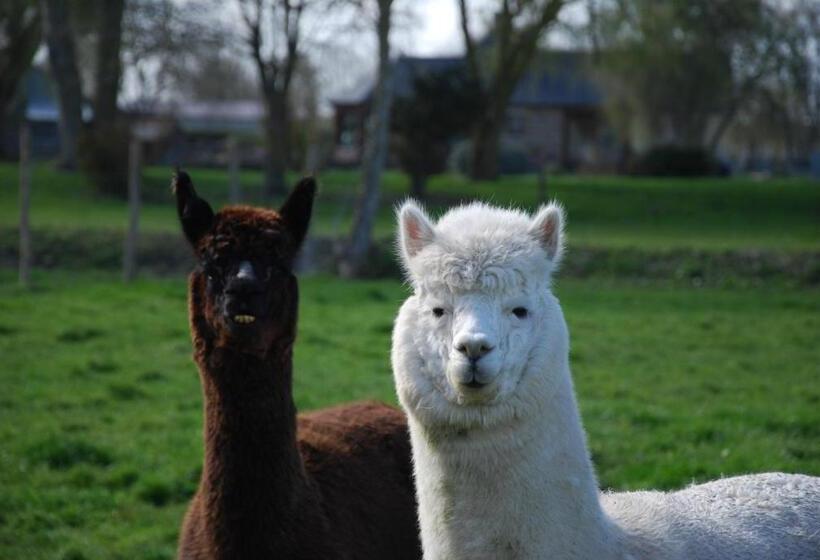ペンション La Bergerie   Gîte Et Chambres D Hôtes