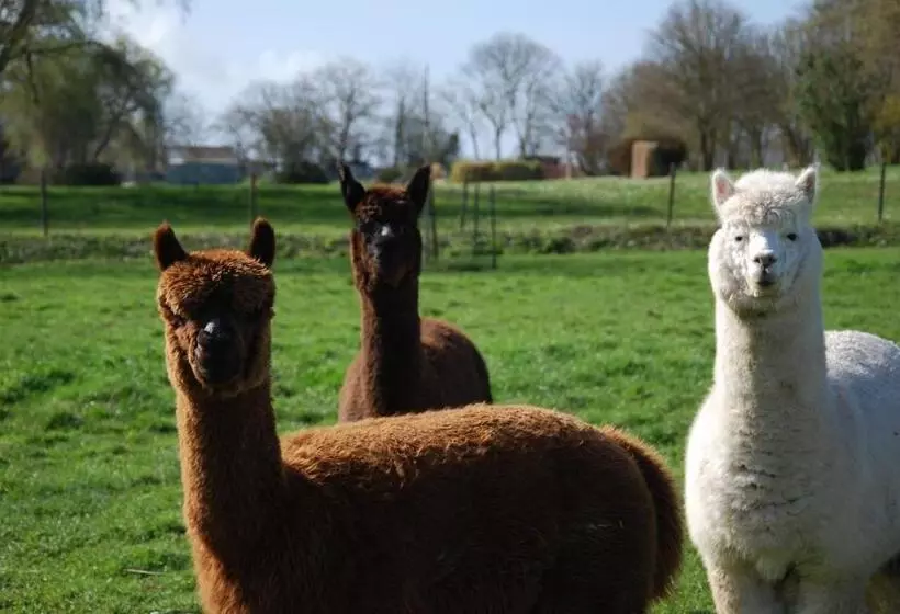ペンション La Bergerie   Gîte Et Chambres D Hôtes