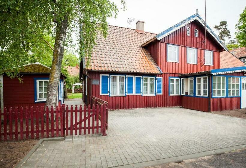 پانسیون Skruzdynes 11