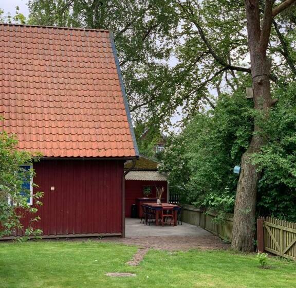 پانسیون Skruzdynes 11