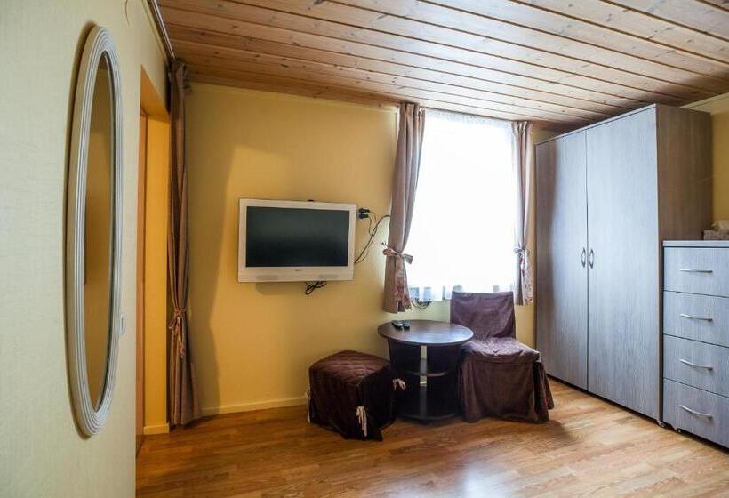 پانسیون Skruzdynes 11