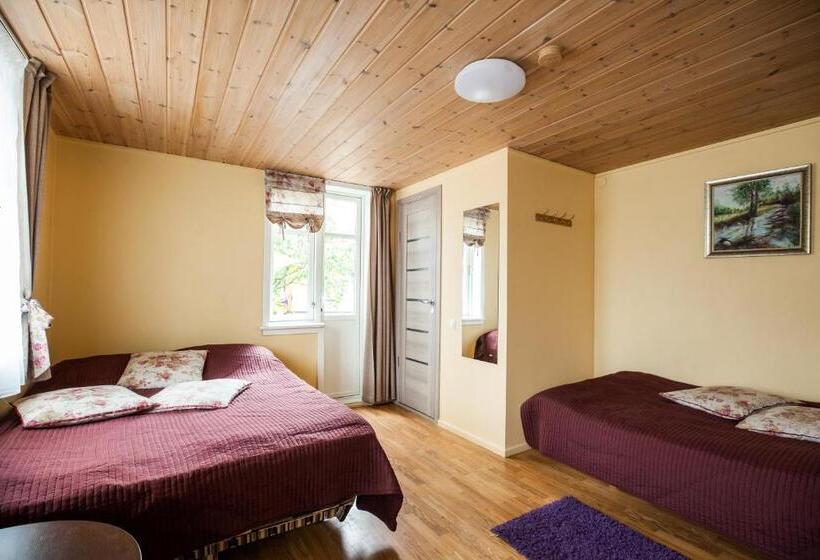 پانسیون Skruzdynes 11