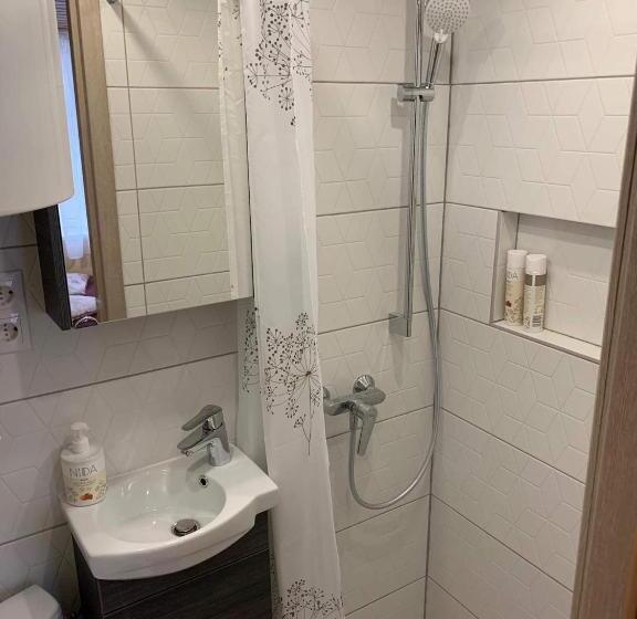 پانسیون Skruzdynes 11