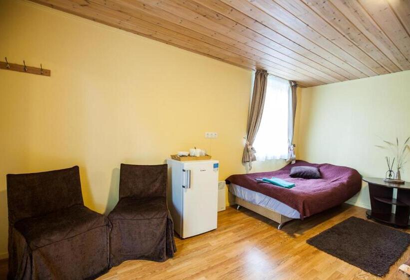 پانسیون Skruzdynes 11