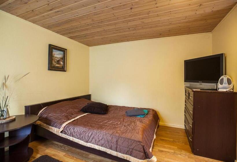 پانسیون Skruzdynes 11