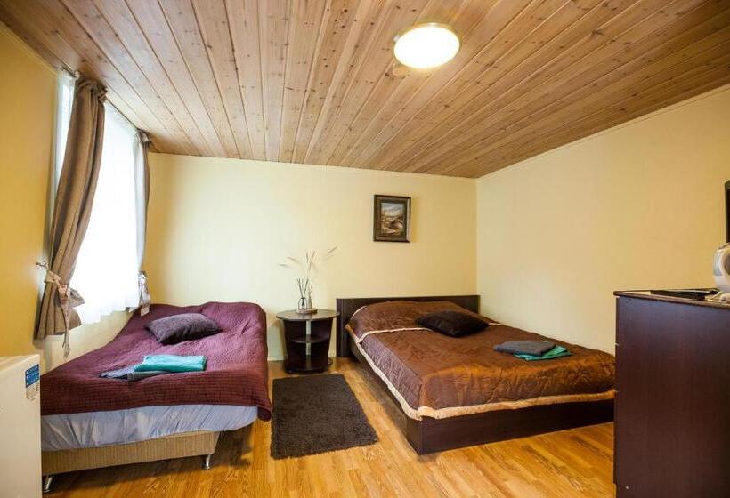 پانسیون Skruzdynes 11