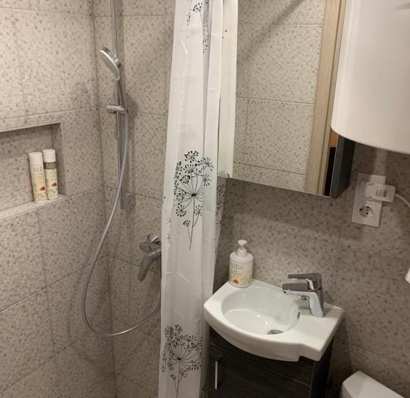 پانسیون Skruzdynes 11