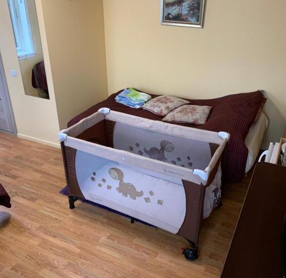 پانسیون Skruzdynes 11