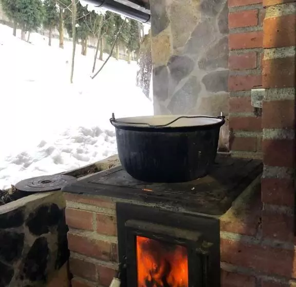 ペンション Vila Fan Confort