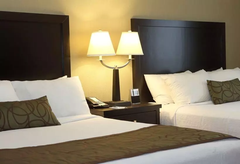 Отель Best Western Pacific Inn