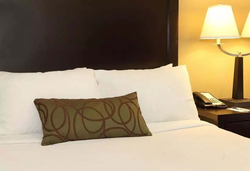 Отель Best Western Pacific Inn