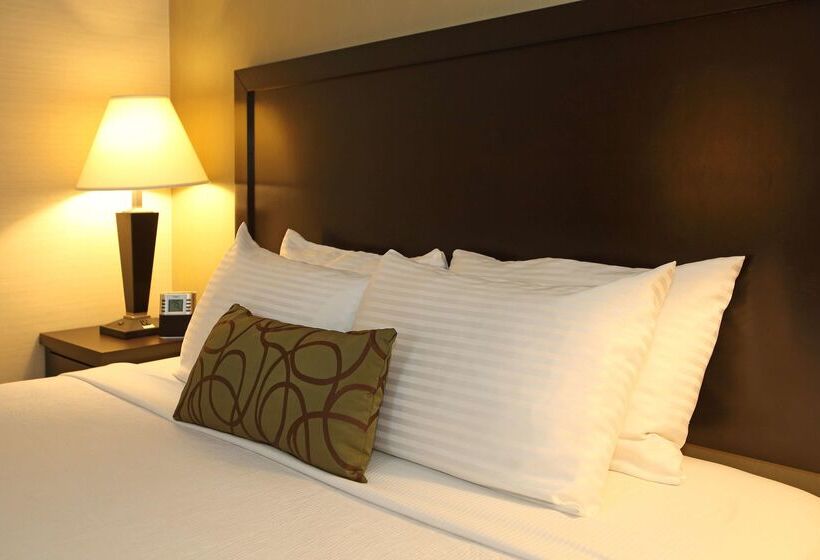 فندق Best Western Pacific Inn