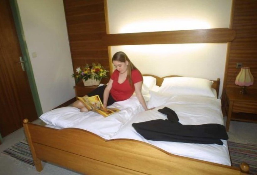 酒店 Gasthof Scheer Feriendomizil