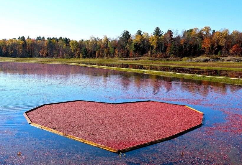 فندق Jw Marriott The Rosseau Muskoka Resort & Spa