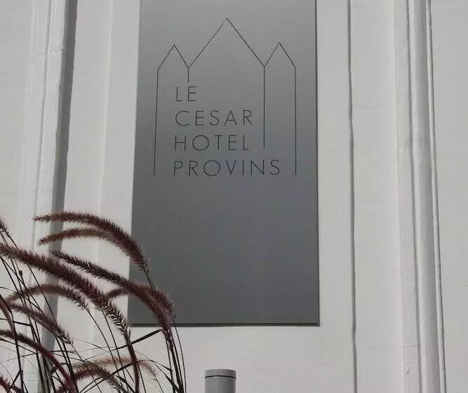 هتل Le Cesar