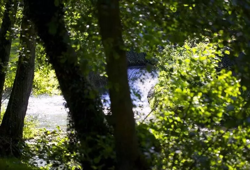 בית מלון כפרי Le Moulin De Mombreux