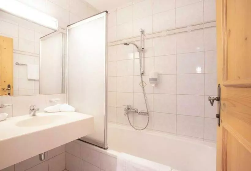 Отель Metzgerwirt