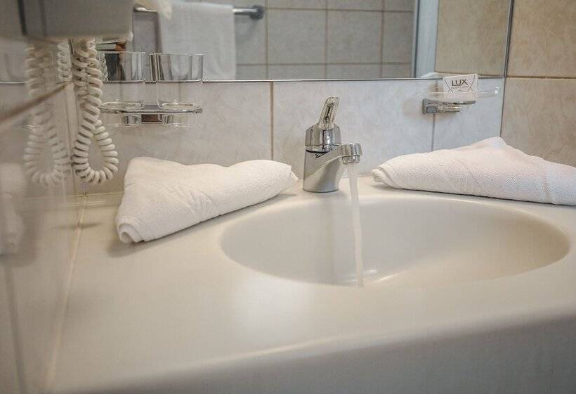 בית מלון כפרי Metzgerwirt