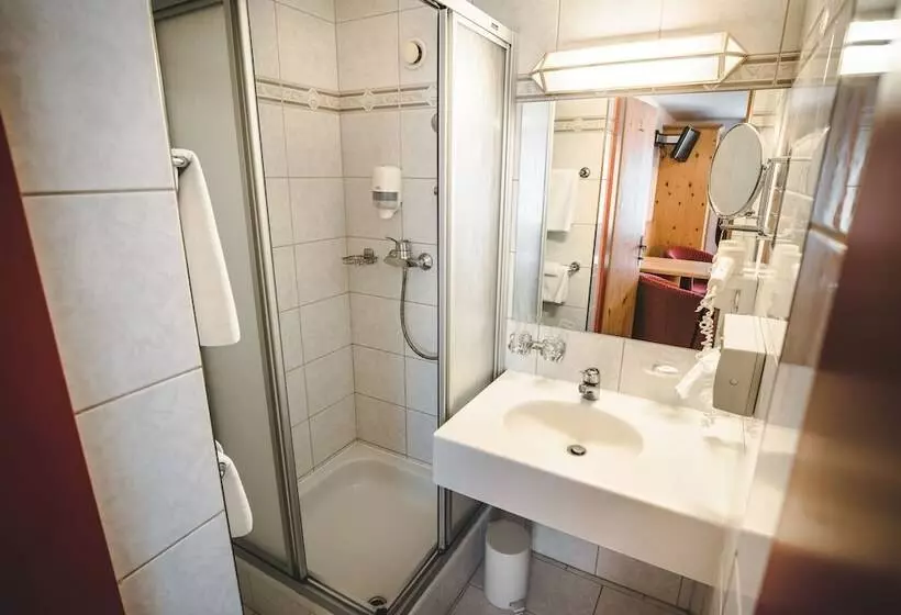 Отель Metzgerwirt