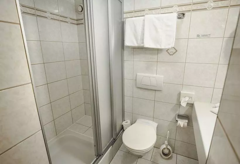 Отель Metzgerwirt