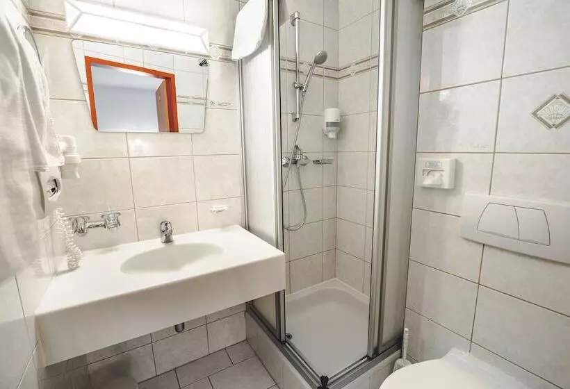 Отель Metzgerwirt