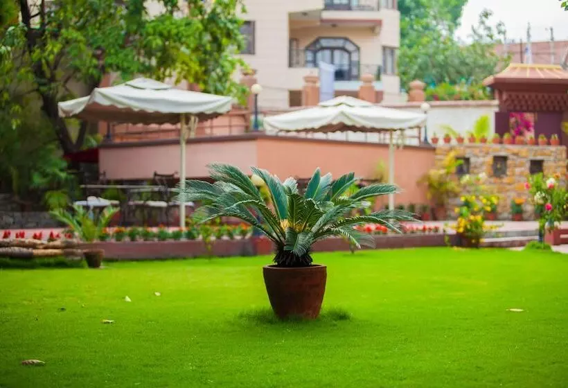 هتل Shambaling Boutique