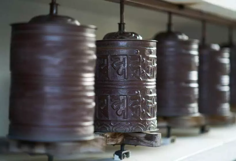 هتل Shambaling Boutique