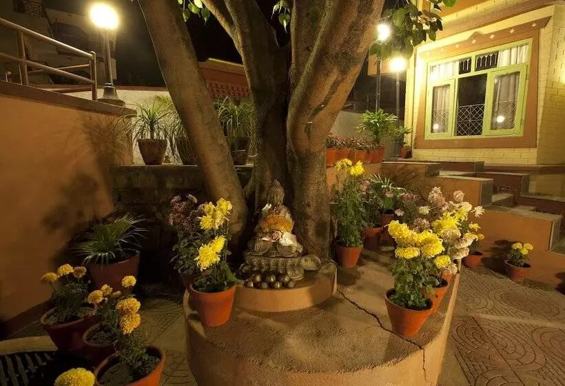 هتل Shambaling Boutique