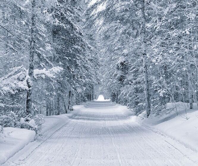 Residence Inn By Marriott Gravenhurst Muskoka Wharf