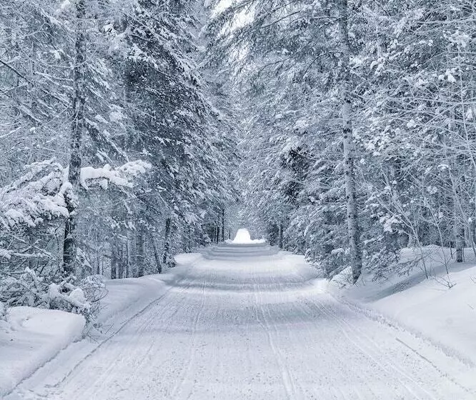 Residence Inn By Marriott Gravenhurst Muskoka Wharf