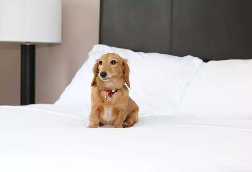 Stoney Nakoda Resort & Casino