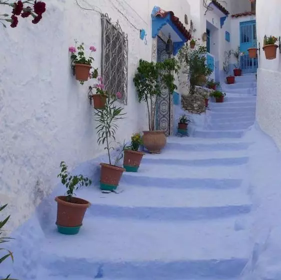 Bed and Breakfast Dar Meziana