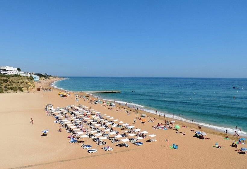 فندق Bertolina Guest House