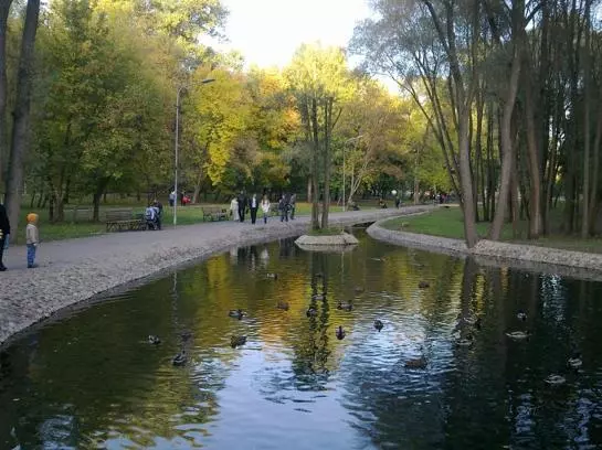 ホテル Irish Apartments in Kharkiv
