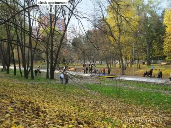 ホテル Irish Apartments in Kharkiv