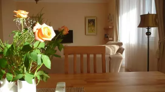 ホテル Irish Apartments in Kharkiv