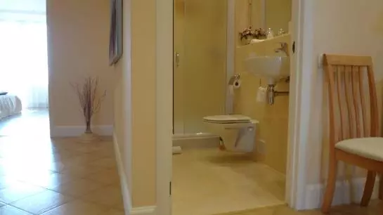 ホテル Irish Apartments in Kharkiv