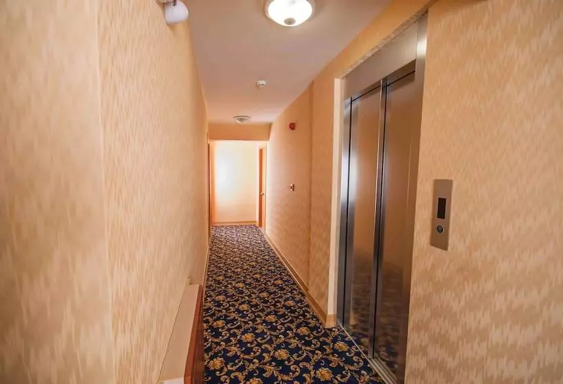 Timeks Hotel Sultanahmet