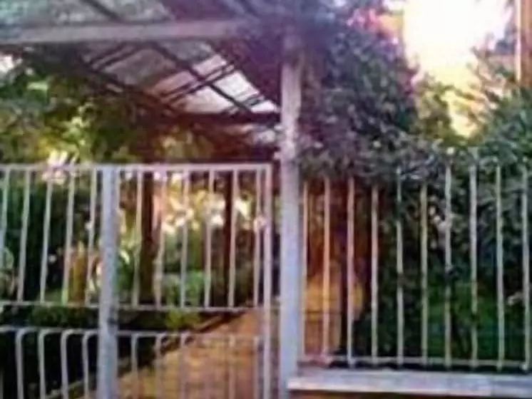 Girasolereale On The Beach