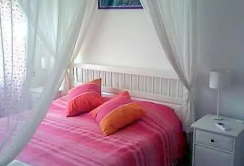 Girasolereale On The Beach