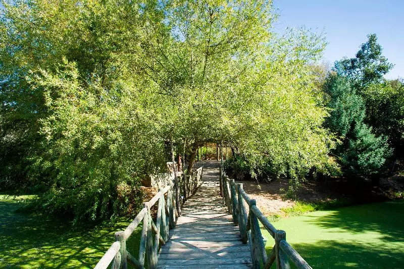 簡易ホテル Moinho Do Alamo