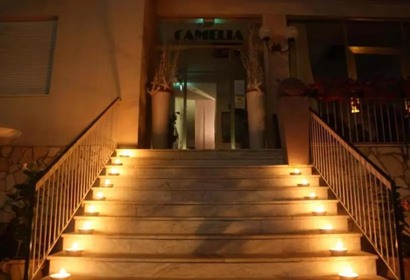 בית מלון כפרי Camelia