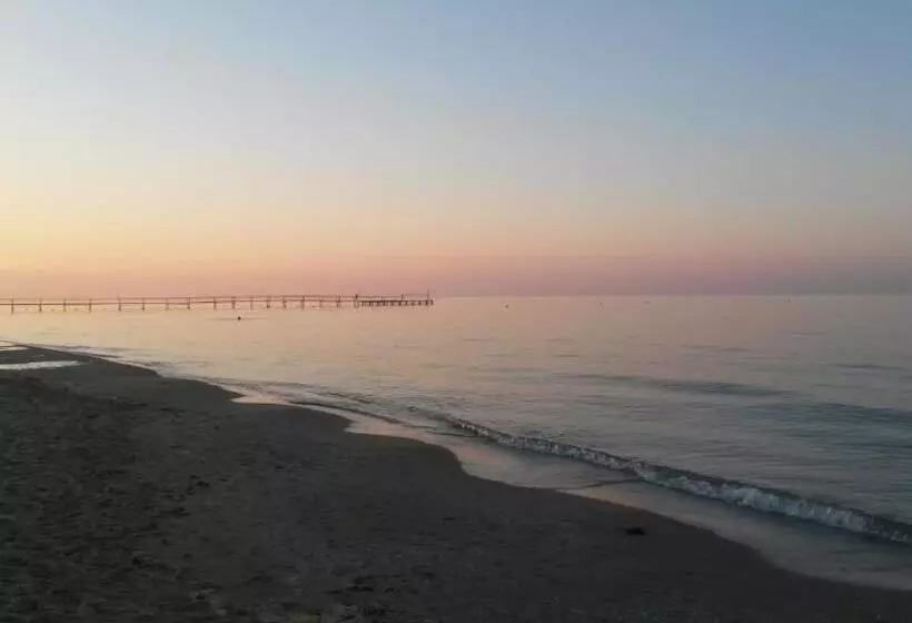 בית מלון כפרי Camelia